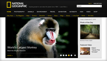 快速搜索便捷的免费网络电话在线使用